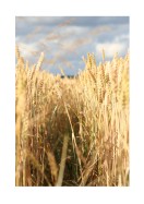 Wheat Field | Erstellen Sie Ihr eigenes Plakat