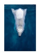 Swimming Polar Bear | Erstellen Sie Ihr eigenes Plakat