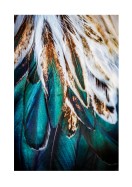 Colorful Feathers | Erstellen Sie Ihr eigenes Plakat