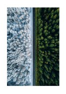 A Forest In Summer And Winter | Erstellen Sie Ihr eigenes Plakat