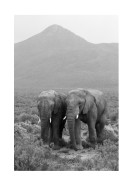 Two Elephants In Black And White | Erstellen Sie Ihr eigenes Plakat