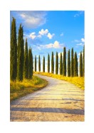 Cyprus Trees In Italy | Erstellen Sie Ihr eigenes Plakat